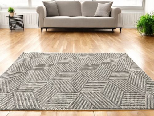 Dalia 40334 szürke modern szőnyeg 120x170 cm