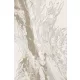 Veston 51266 bézs modern szőnyeg 120x170 cm