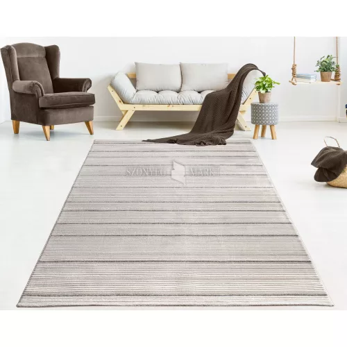 Pastuler 269 modern mintájú szőnyeg (Brown) 200x290 cm