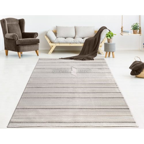 Pastuler 269 modern mintájú szőnyeg (Brown) 80x150 cm