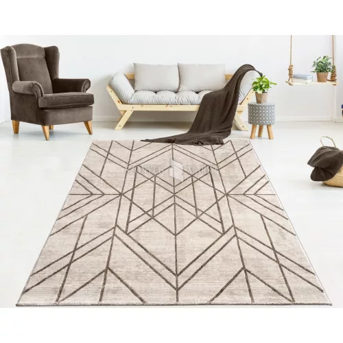 Pastuler 286A modern mintájú szőnyeg (Beige) 120x170 cm